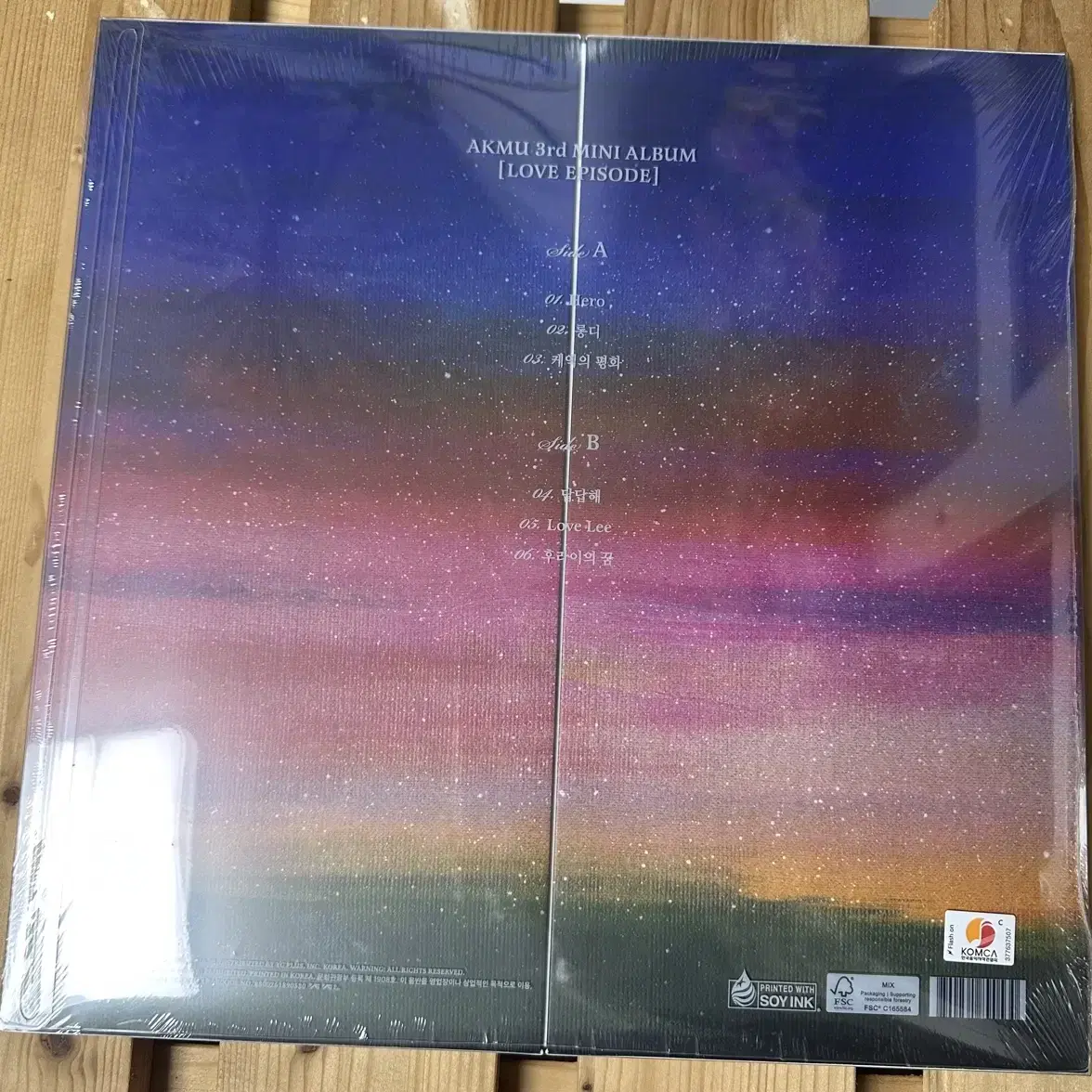 악동뮤지션 lp