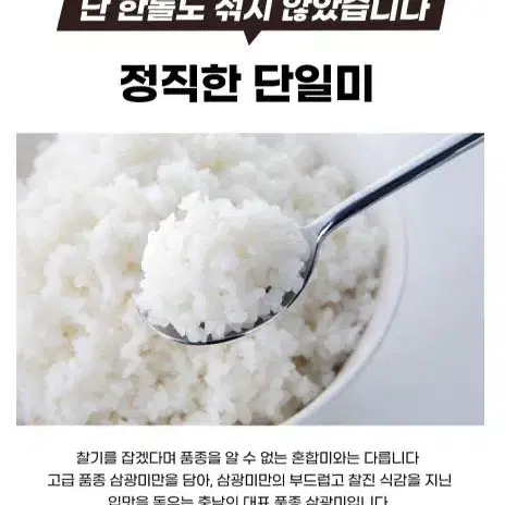 쌀 20kg - 삼광쌀 특등급 햅쌀 삼광미 (번개 최저가)