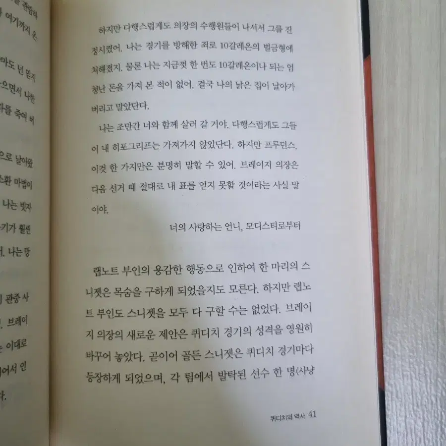 해리포터 퀴디치의 역사