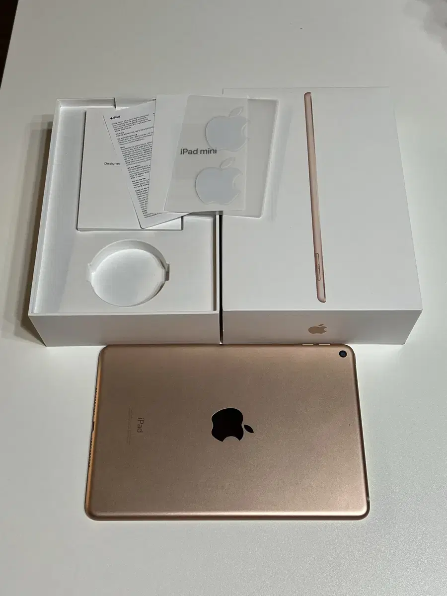 iPad mini 5 external 64GB