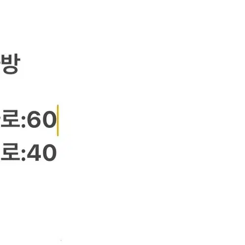 [정품] 제네시스 골프백