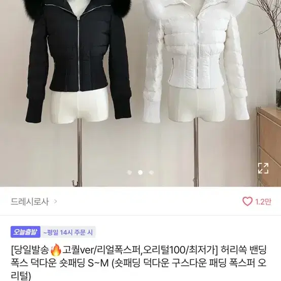 에이블리 패딩 (교신,판매)