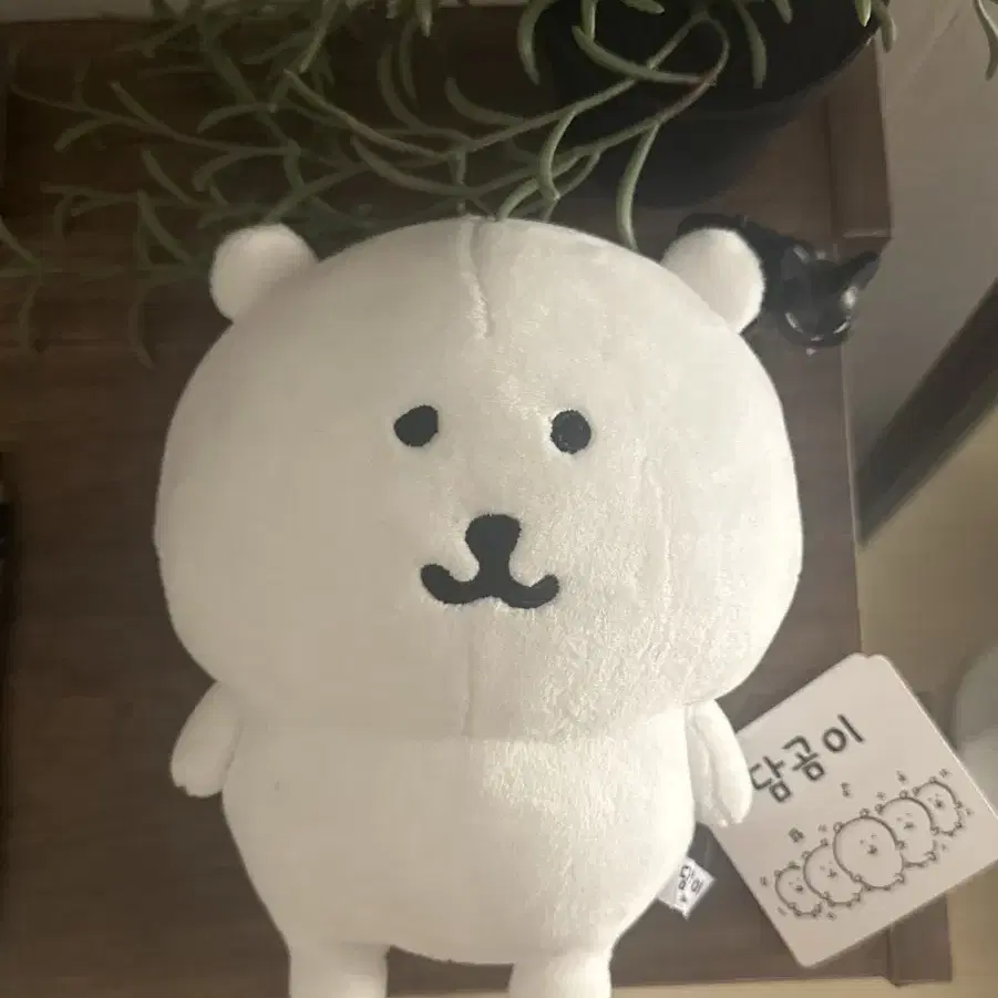 농담곰 s사이즈 나가노 인형 판매 양도