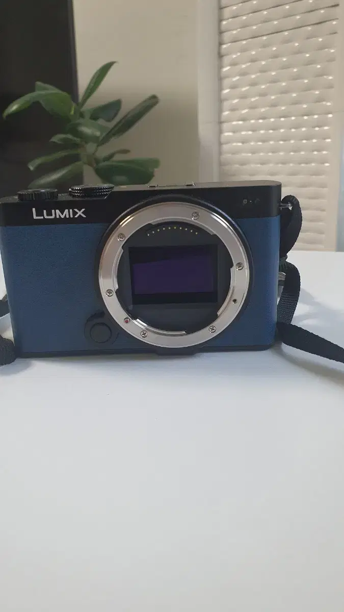 신품급 루믹스 s9 - lumix s9 blue