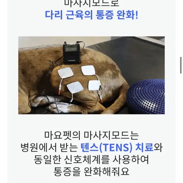 마요펫 강아지 ems 중저주파 슬개골 재활치료기