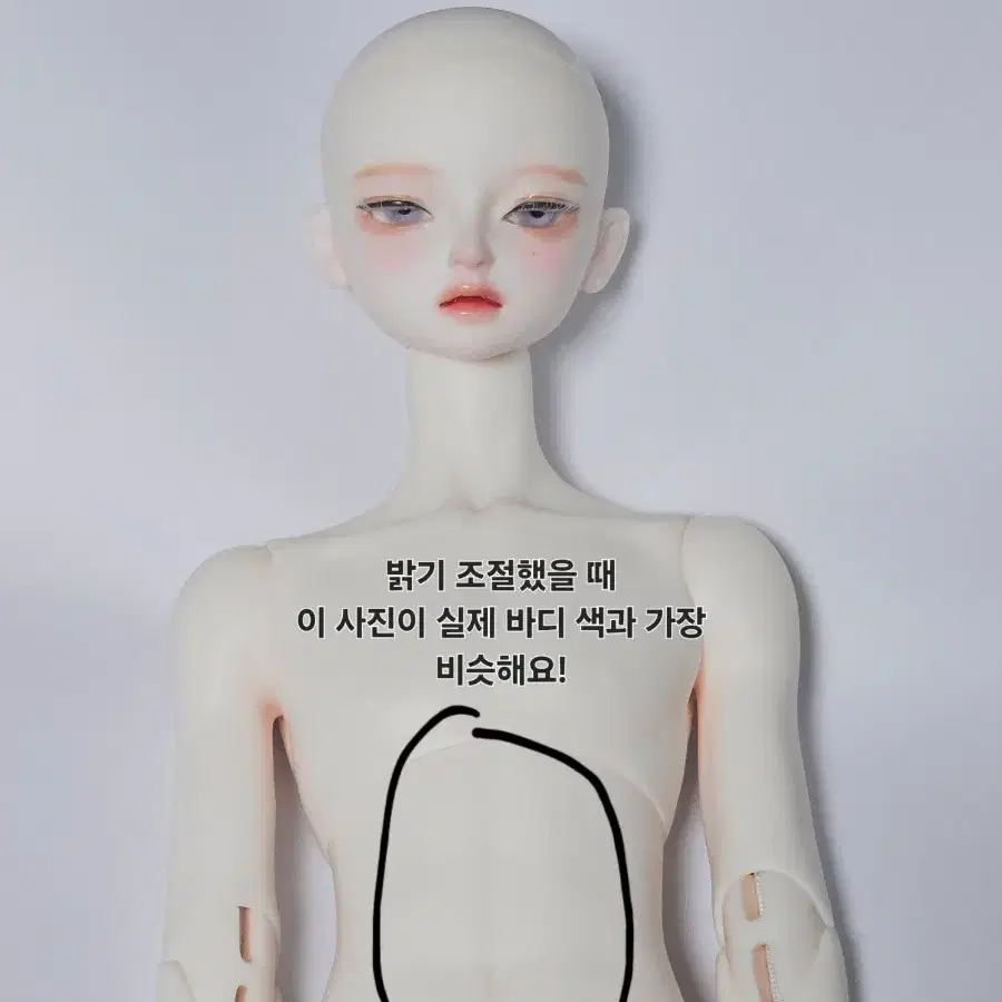 구체관절인형 모델델프 msd 판매