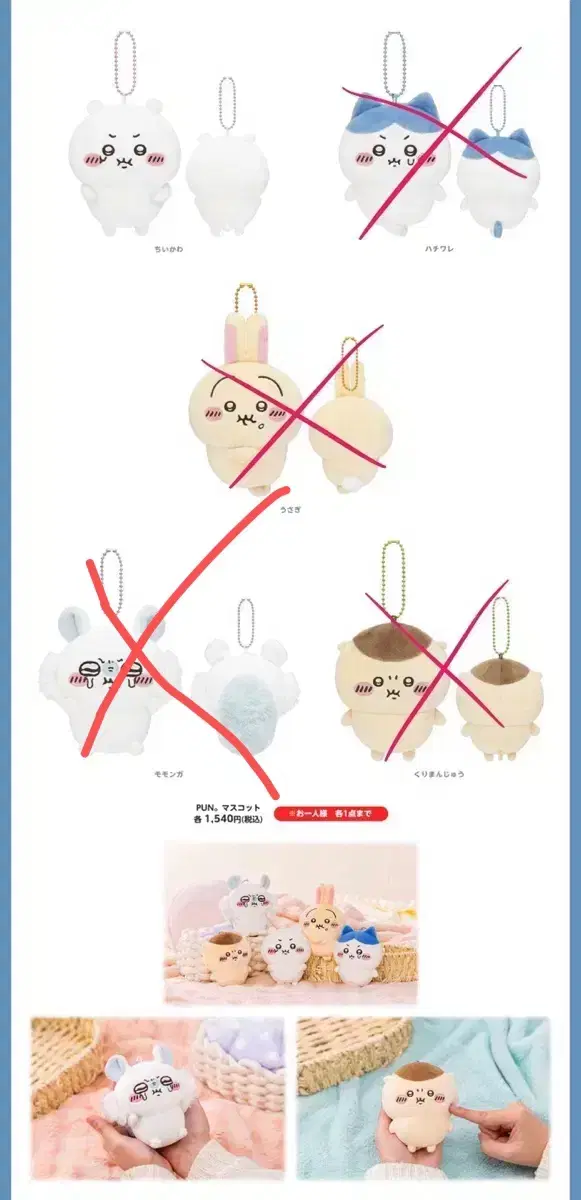 1/17 치이카와 공구