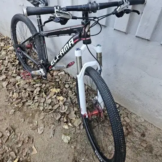 엘파마MTB