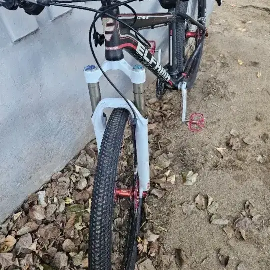 엘파마MTB