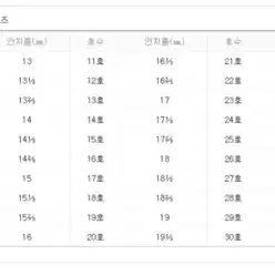 크롬하츠 포에버링 7호 정품 (단품)