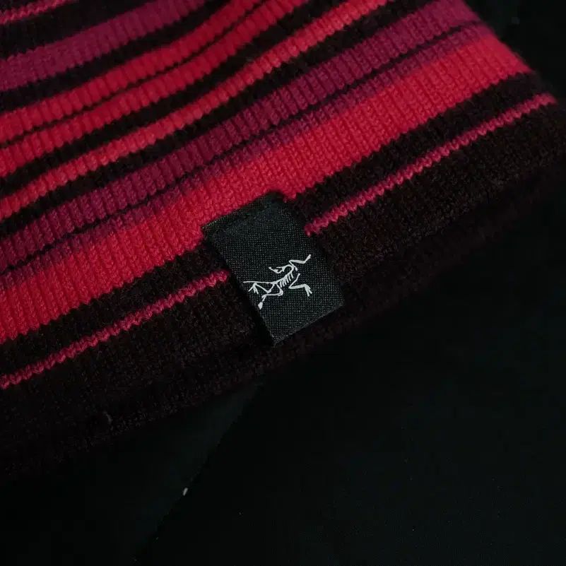 아크테릭스 Arcteryx 비니