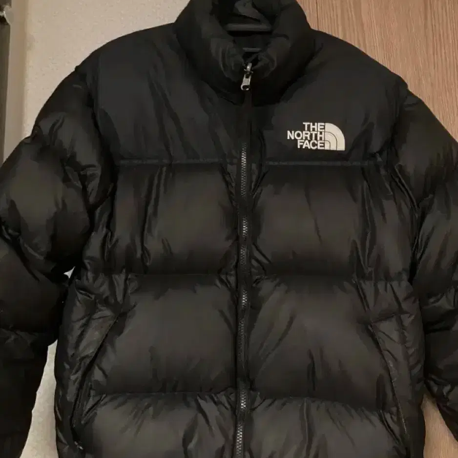 노스페이스 TheNorthFace 1996 에코 눕시 패딩 L