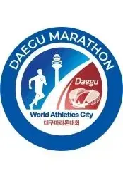 2.23 대구마라톤 풀코스 기념티100 양도