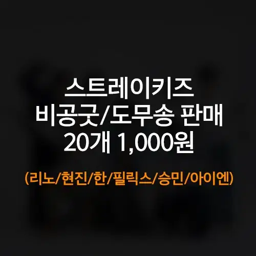 스트레이키즈 비공굿 도무송 판매