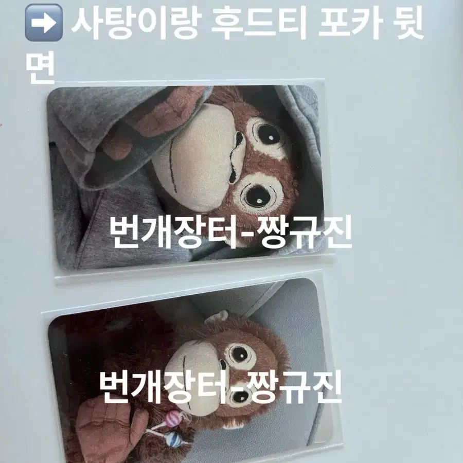 엔믹스에스파아이브                        오랑우탄포카