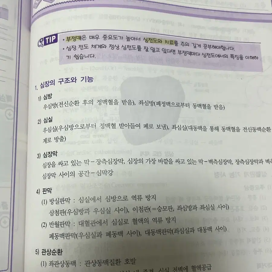 2025 퍼시픽 성인간호학1 문제집+개념서