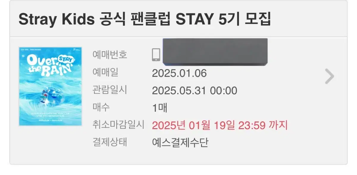 스트레이키즈 스키즈 팬클럽 스테이 5기 키트 양도