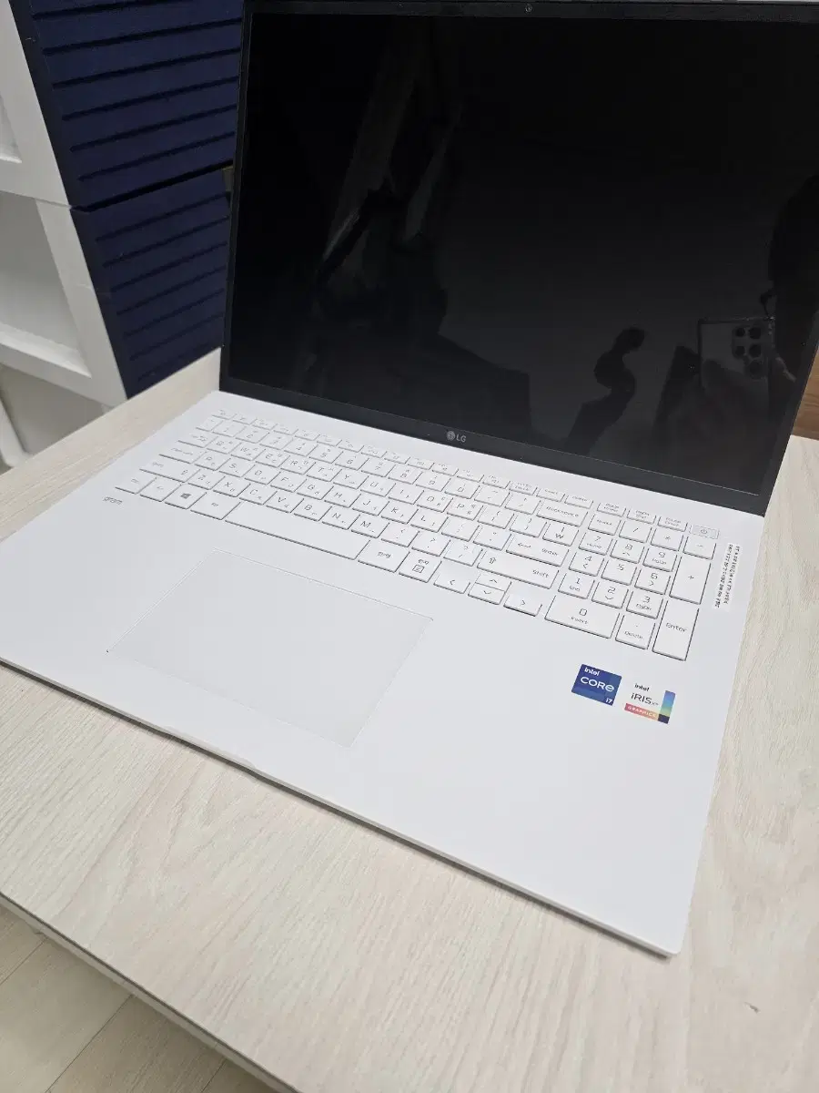 LG그램17 i7-1165G717ZD90P-GX76K