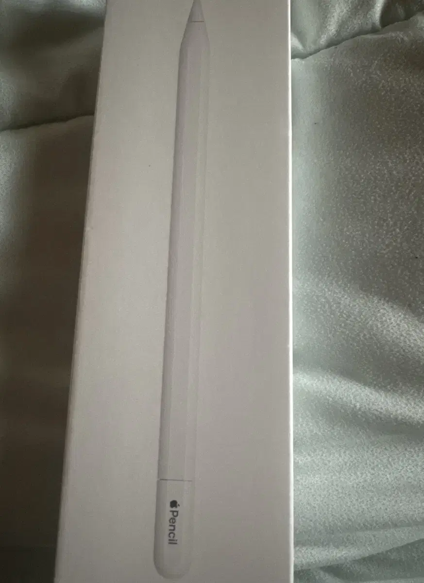 (New, unused) Apple Pencil USB-C Type