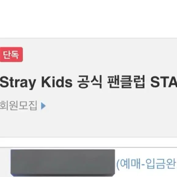 스트레이키즈 팬클럽 stay 5기 키트