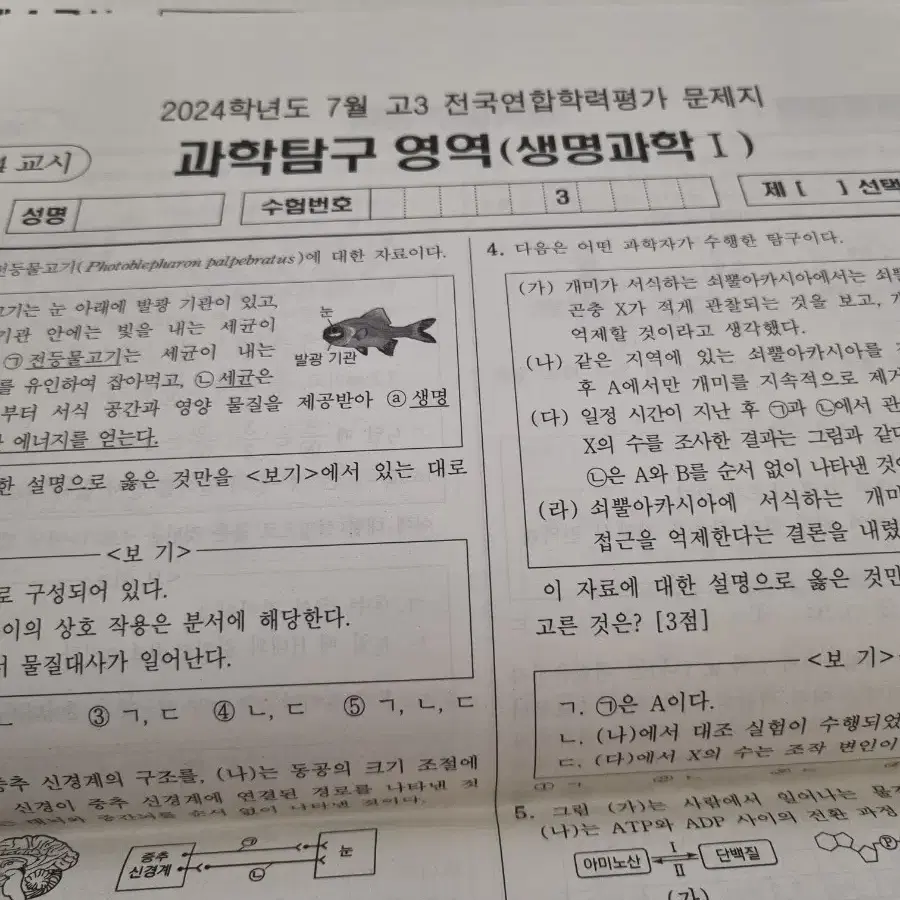 교육청 모의고사