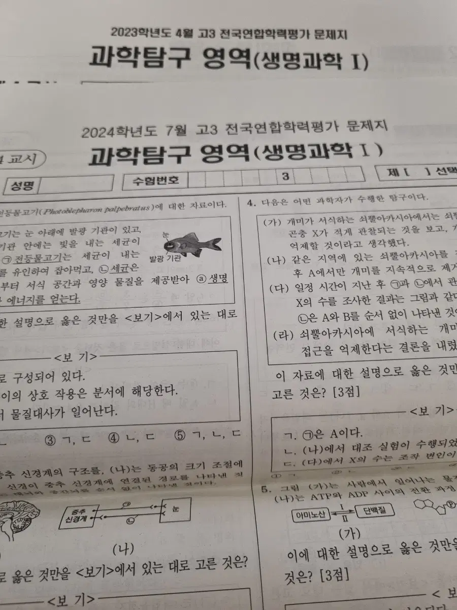 교육청 모의고사