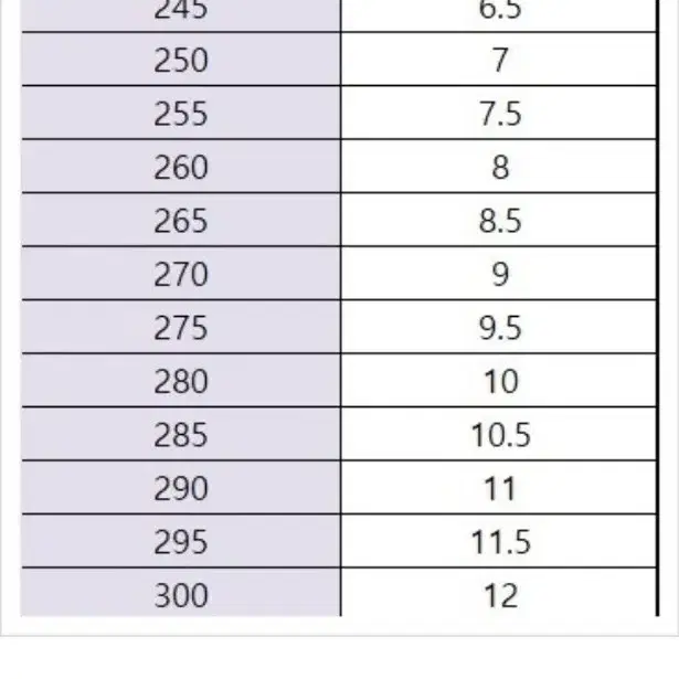 산틱 평자전거 신발