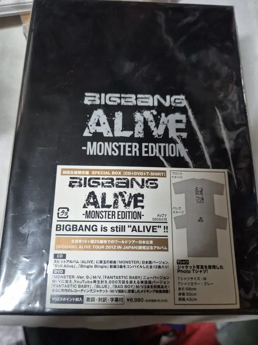 (dvd)빅뱅 alive 일본판