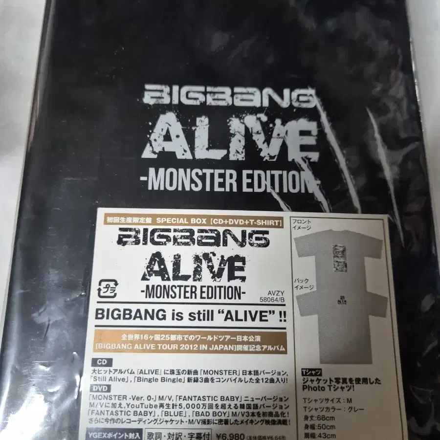 (dvd)빅뱅 alive 일본판