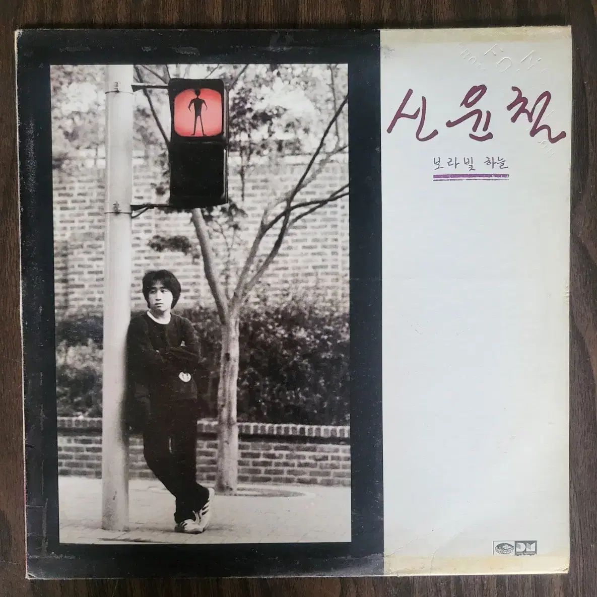 신윤철 (1988년 지구 초반) - 보라빛 하늘 LP