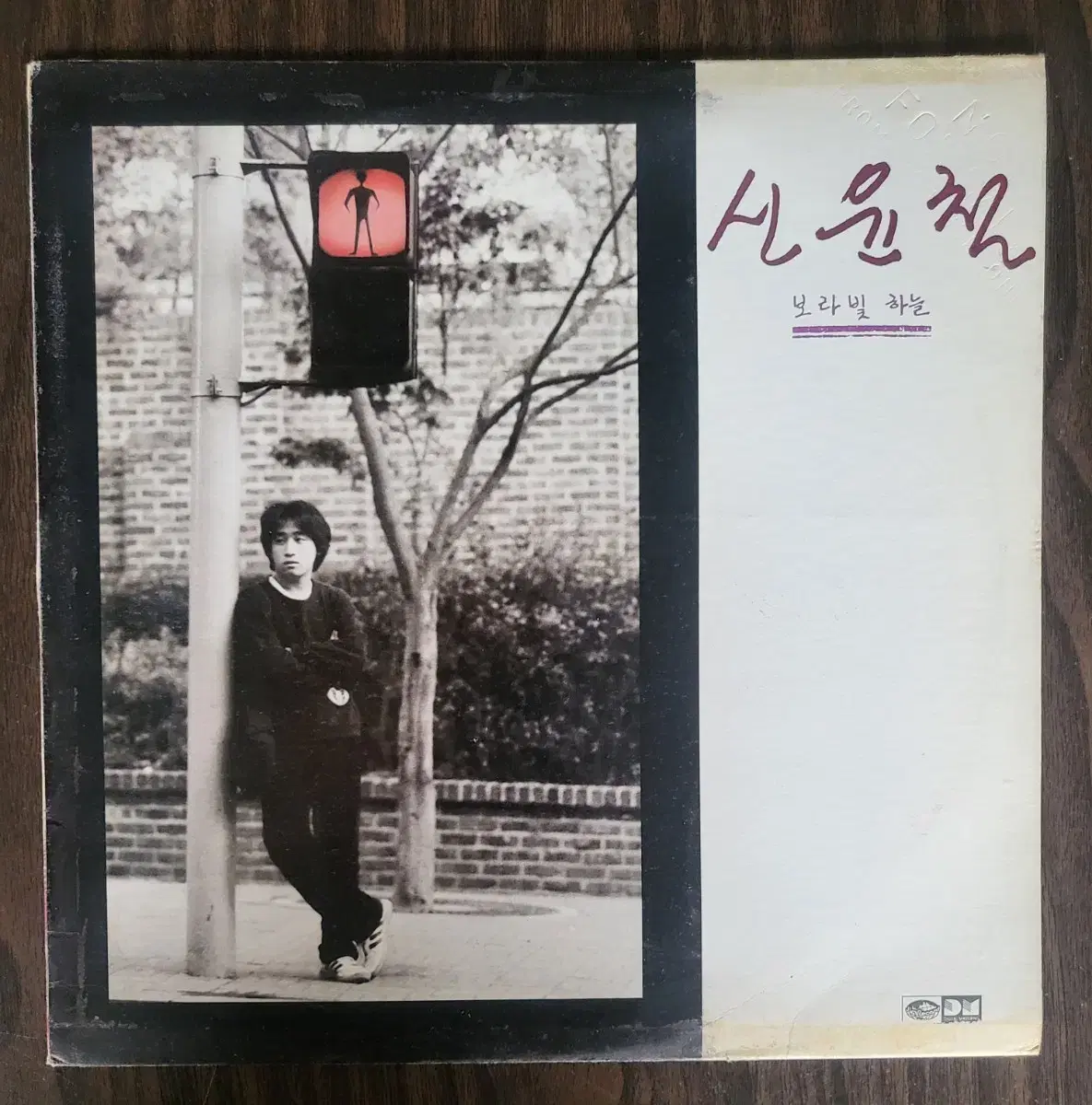 신윤철 (1988년 지구 초반) - 보라빛 하늘 LP