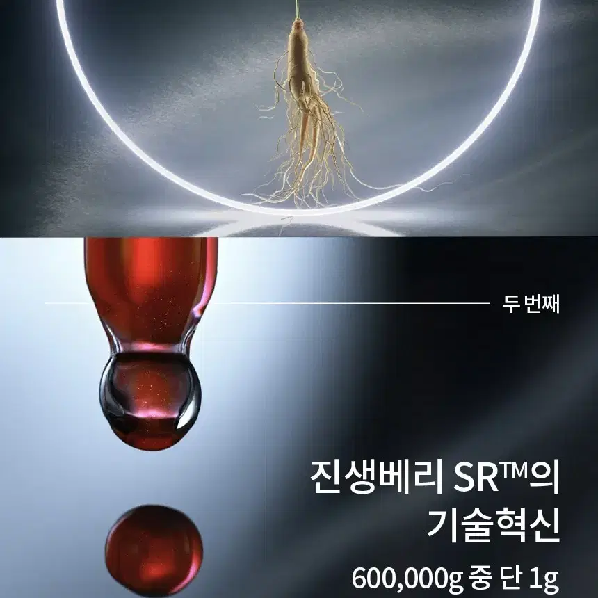 설화수 진설크림 기획세트