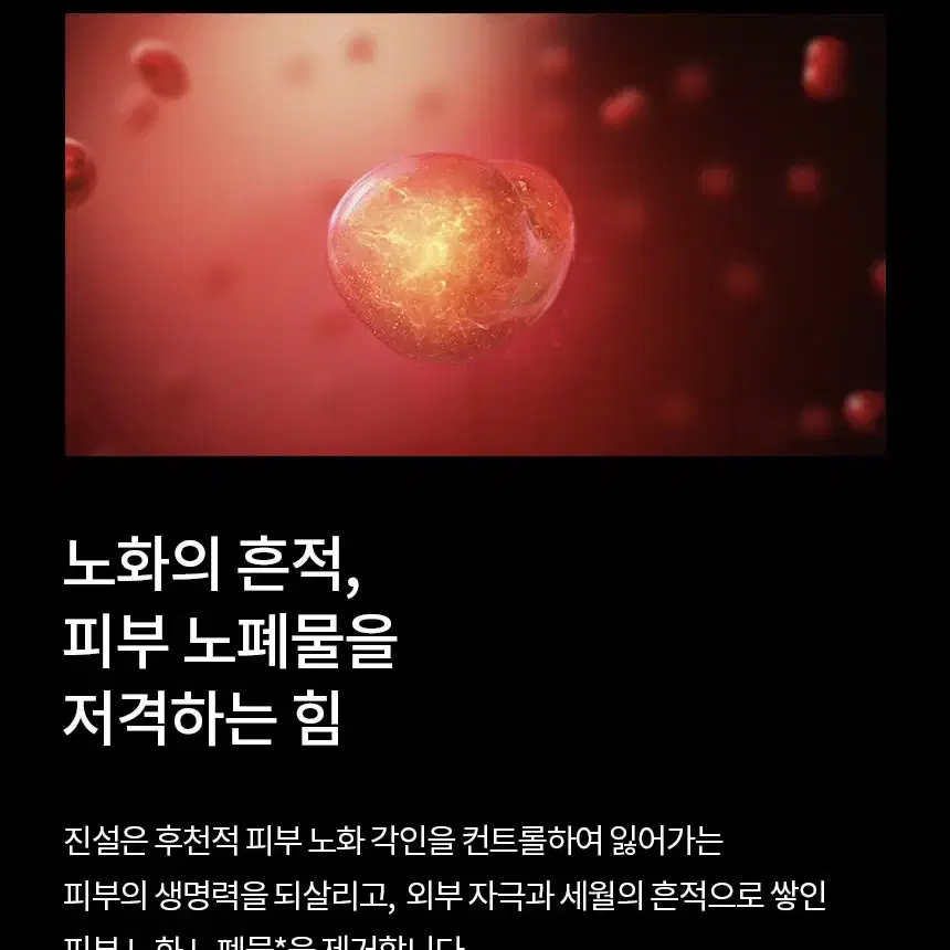 설화수 진설크림 기획세트