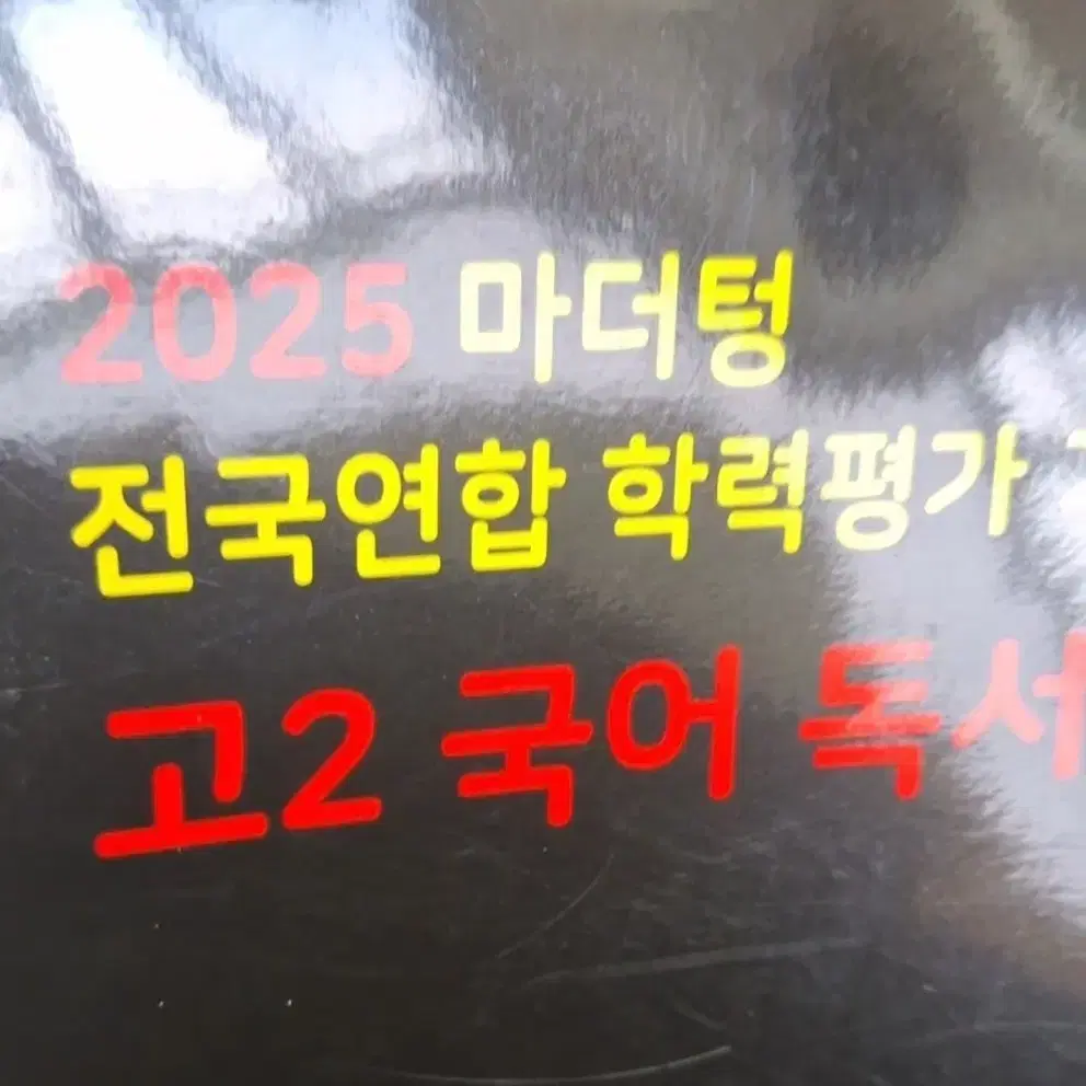 2025 마더텅 고2 국어 독서