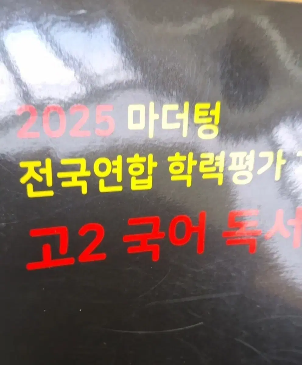 2025 마더텅 고2 국어 독서