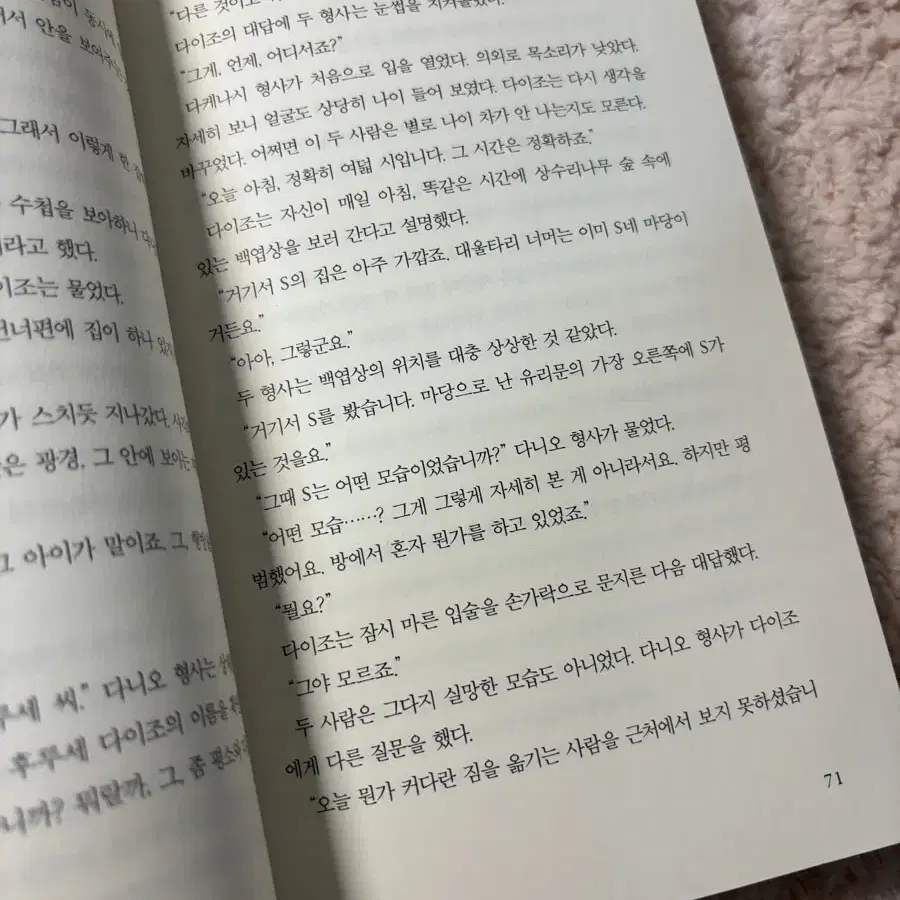 해바라기가 피지 않는 여름 추리소설