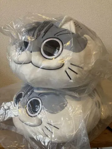 밤에는 고양이와 함께 만마모찌쿠션 봉제 인형 2개 세트