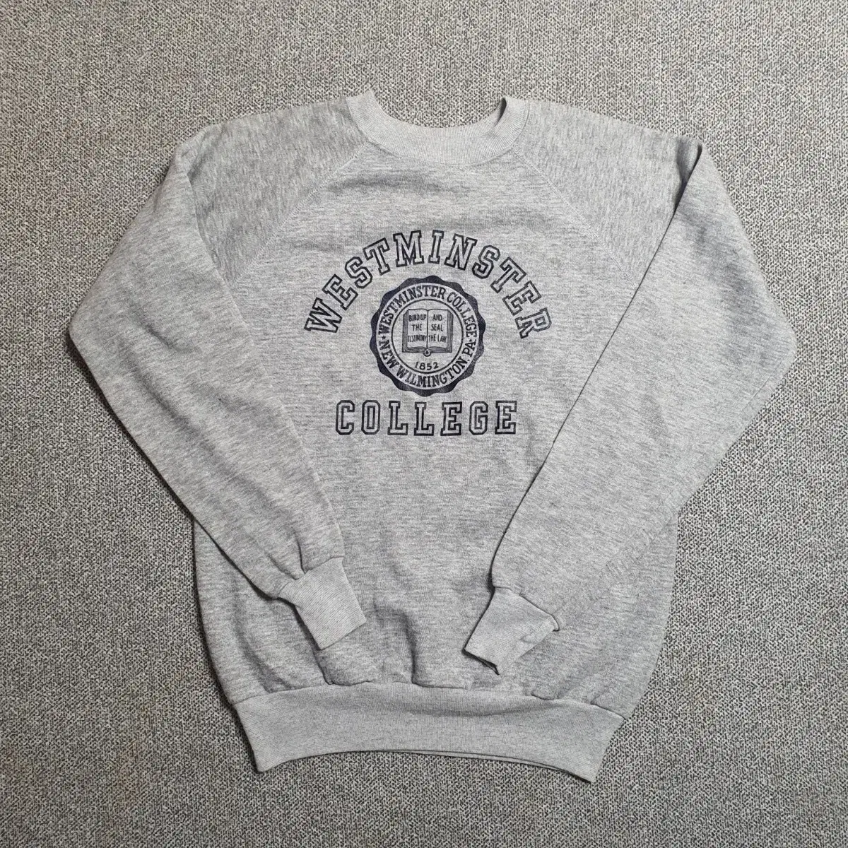 Vintage 80s U.S.A Velva sheen  맨투맨