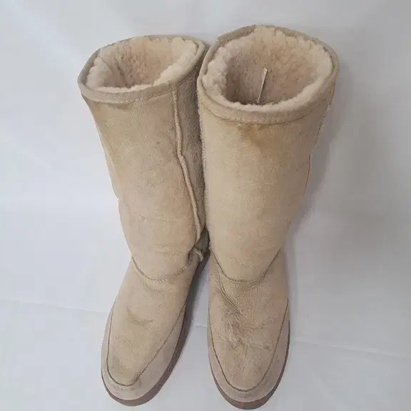 Canterbury SHEEPSKIN 쉽스킨 어그부츠 UGG 방한 부츠