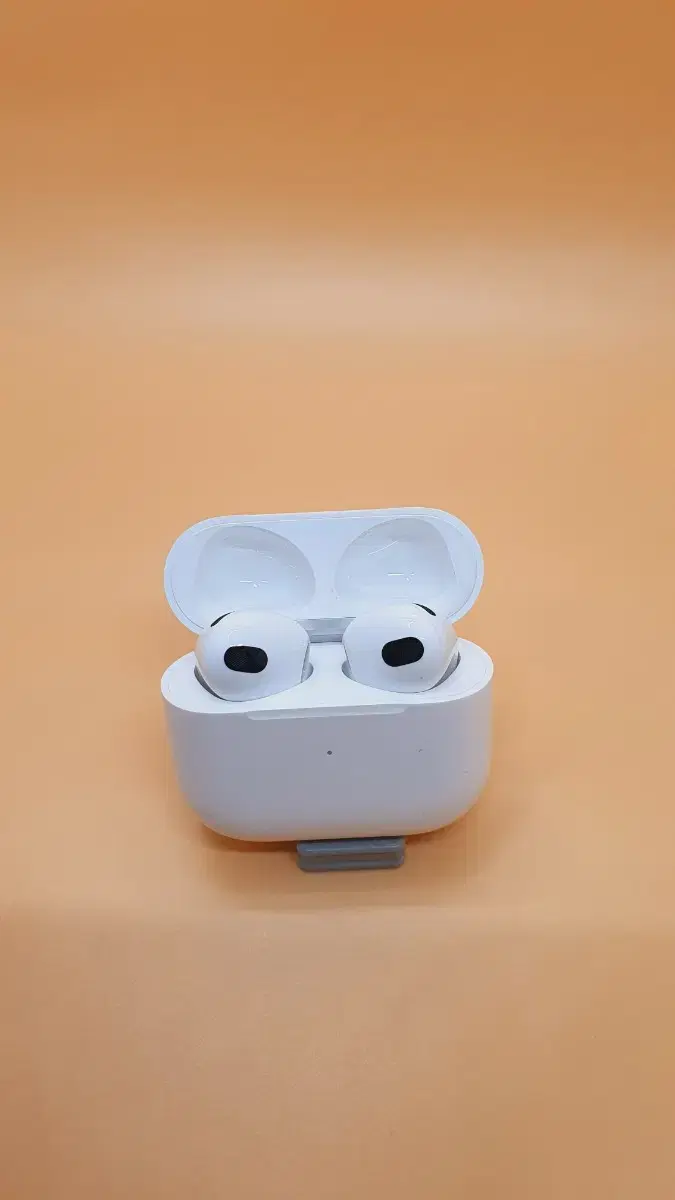 AirPods 3rd Gen Set (6F21~)