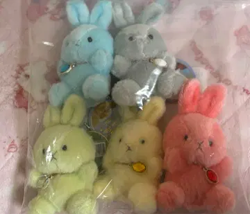 해피버스데이 컬러 파스텔 토끼 세트