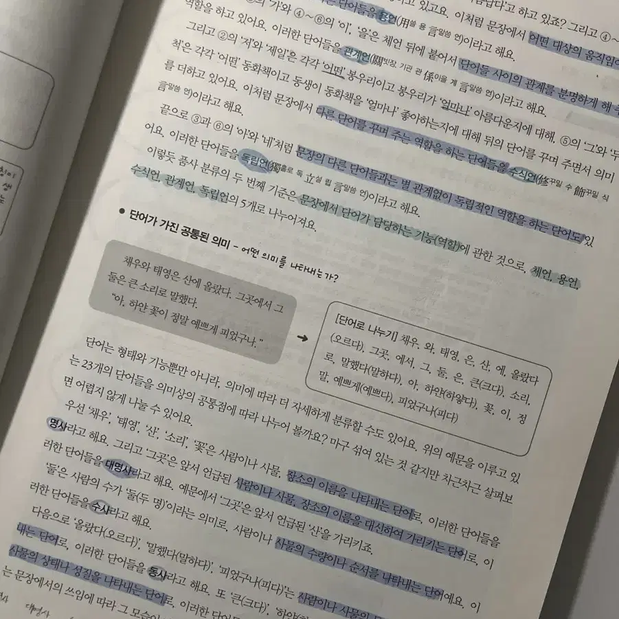 중학 국어 문법 총정리