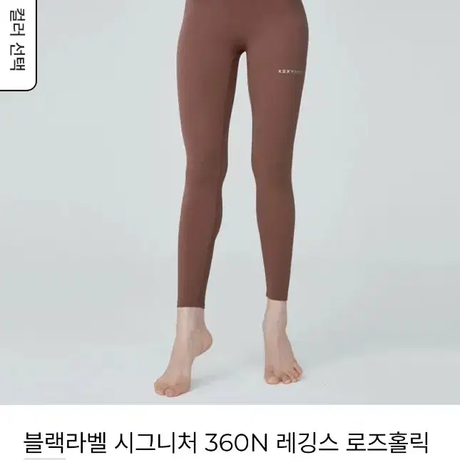 {정품} M 블랙라벨 시그니처 360N 레깅스 젝시믹스미착용