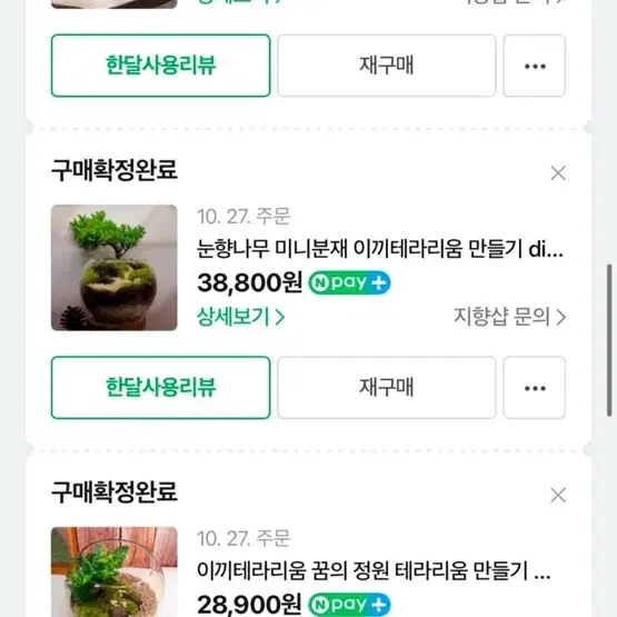 지향샵 테라리움 일괄 판매