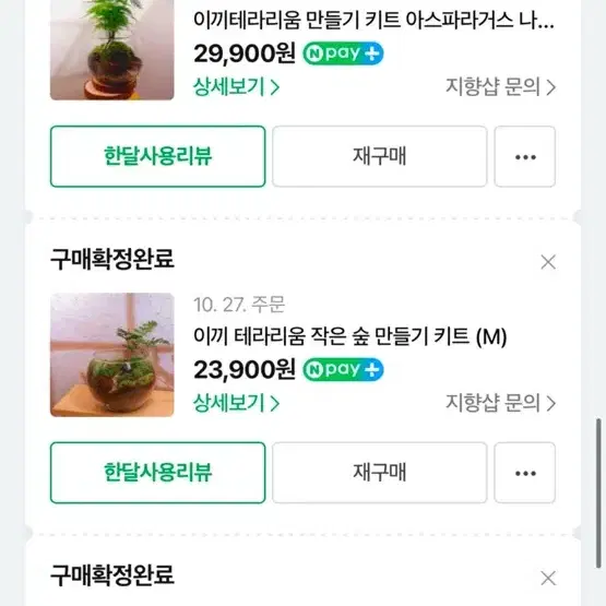 지향샵 테라리움 일괄 판매