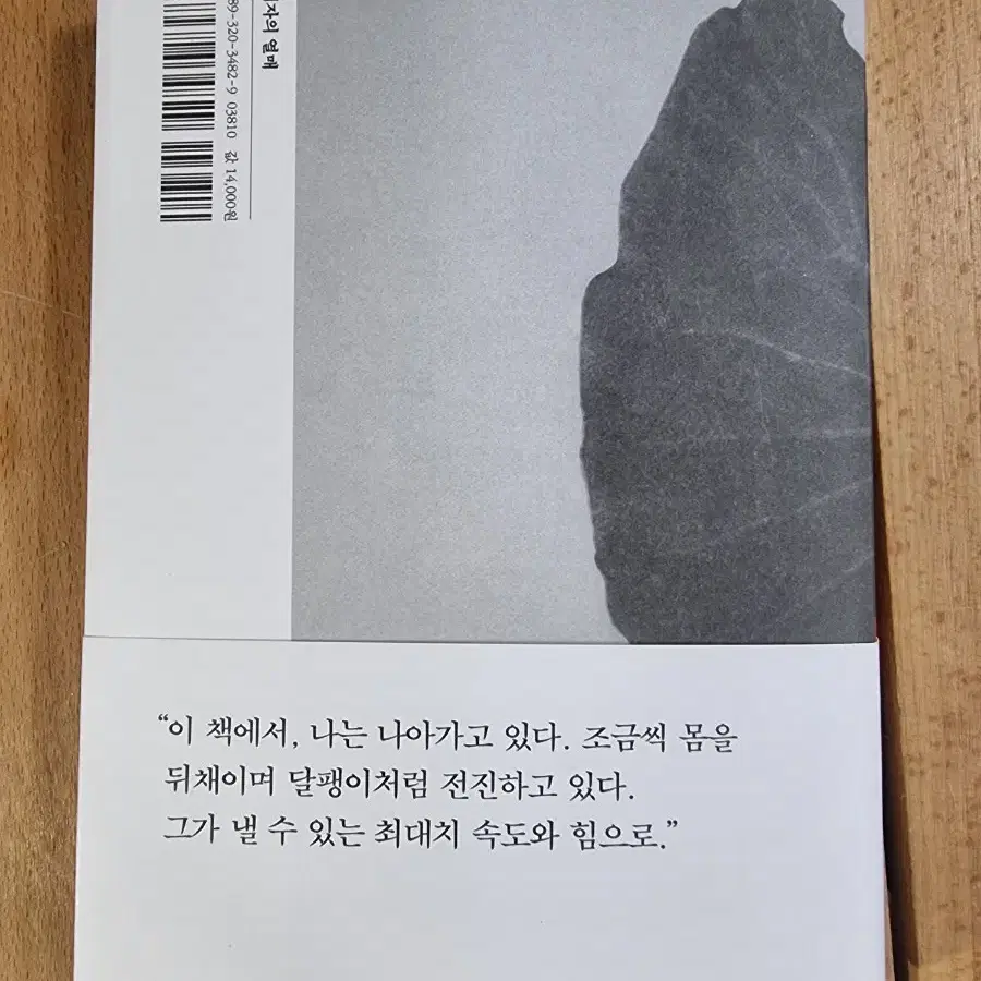 내여자의 열매-한강 소설집