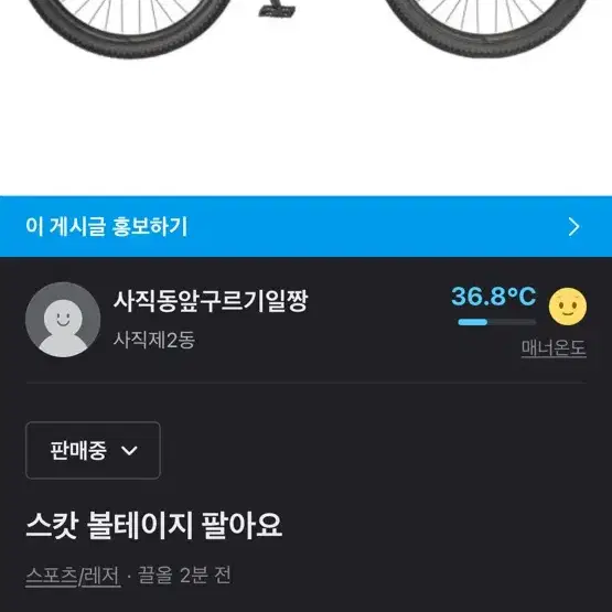 스캇 볼테이지