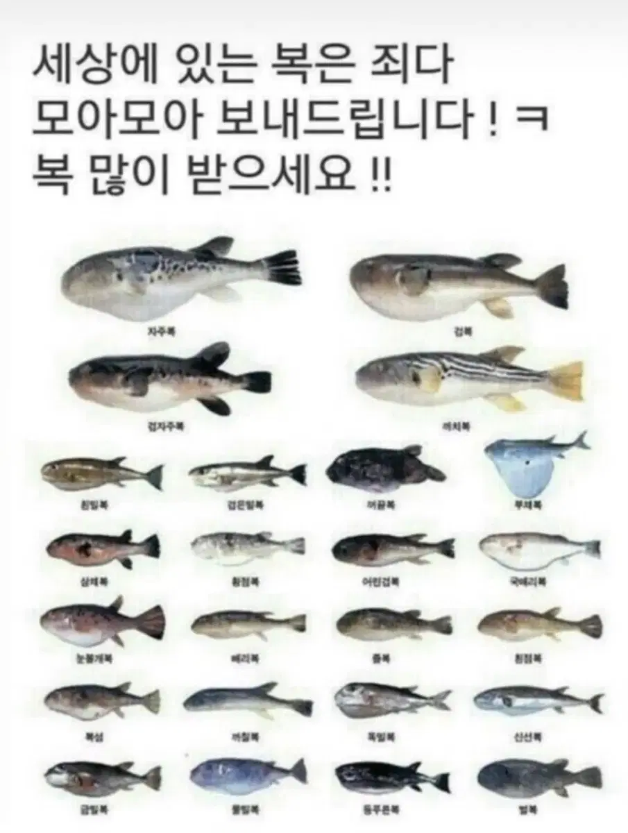 고딕 고전 키티 인형