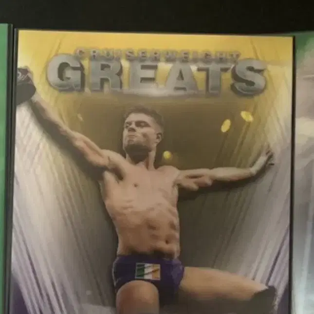 Topps Chrome WWE 카드 랏