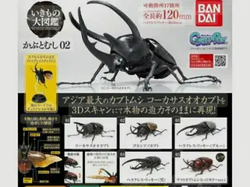 생물대도감 "카부도무시02" 전 5종 컴플리트